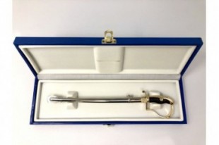 Sable león liso - ABR03 2